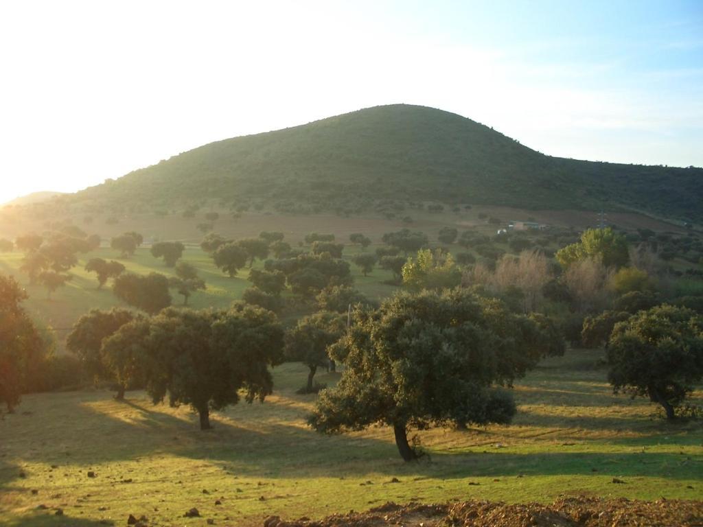 Cortijo El Criadero El Hoyo Chambre photo