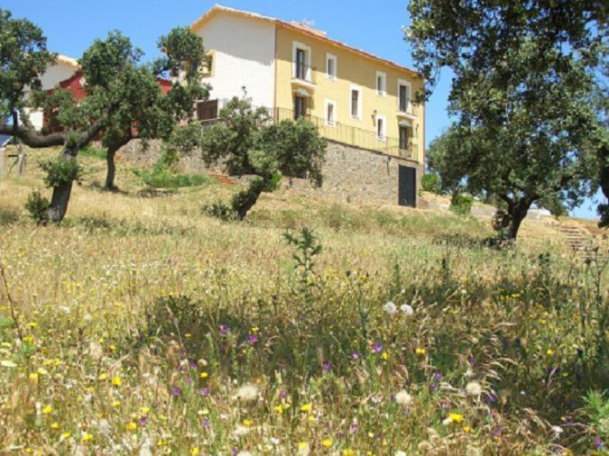 Cortijo El Criadero El Hoyo Extérieur photo
